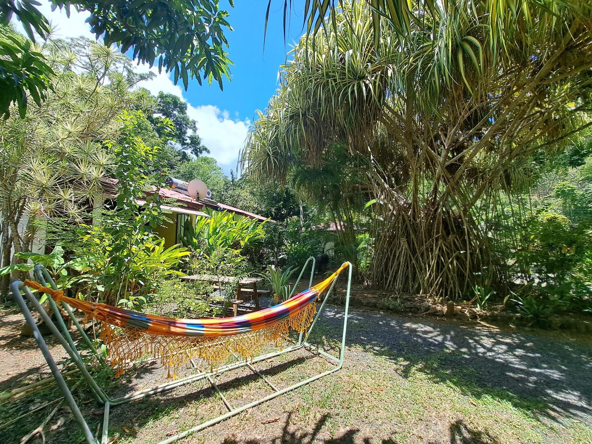Residence Les Manguiers Pointe-Noire Exterior foto