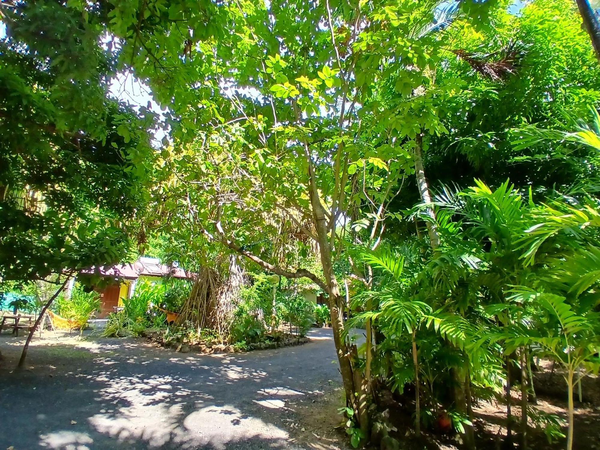 Residence Les Manguiers Pointe-Noire Exterior foto